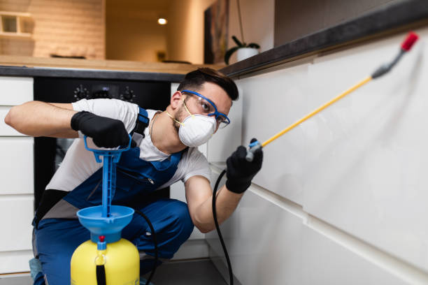 Best Wildlife Control Services  in Mclean, TX