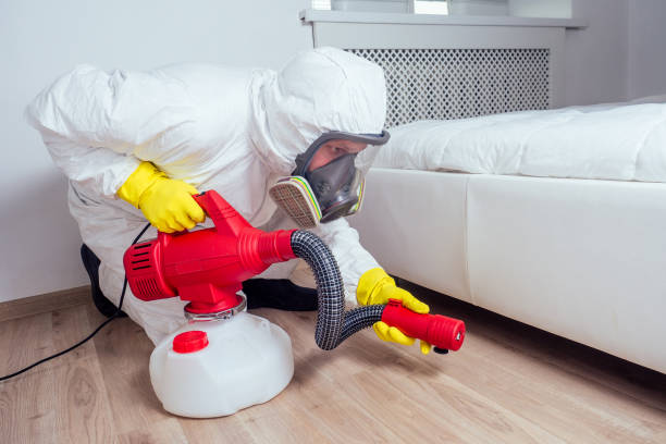 Best Local Pest Control Services  in Mclean, TX